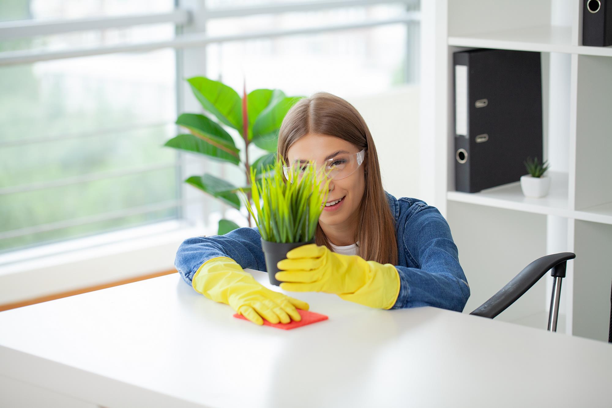 Green Thinking Eco Cleaning